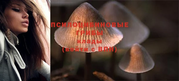 PSILOCYBIN Белокуриха